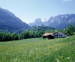 austria-alpine-meadow-chalet-flowers-snow-capped-mountains-trees-ajhd_250x206.jpg