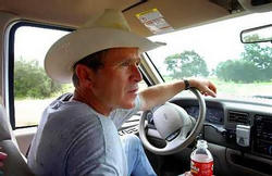 bush_town_wideweb__.jpg